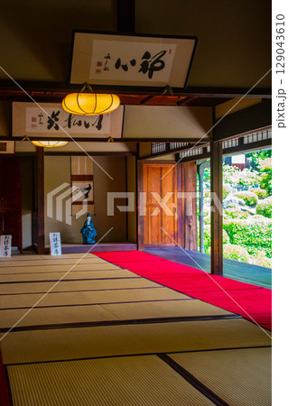 【京都風景】等持院　一人静かに眺める庭に心が和む 129043610