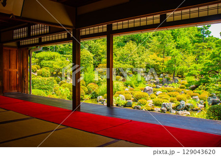 【京都風景】等持院　一人静かに眺める庭に心が和む 129043620