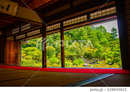 【京都風景】等持院　一人静かに眺める庭に心が和む 129043622