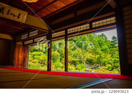 【京都風景】等持院　一人静かに眺める庭に心が和む 129043623