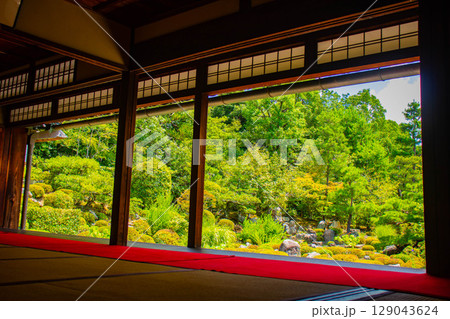 【京都風景】等持院　一人静かに眺める庭に心が和む 129043624
