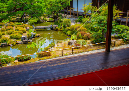 【京都風景】等持院 一人静かに眺める庭に心が和む 【京都風景】等持院 一人静かに眺める庭に心が和む 129043635