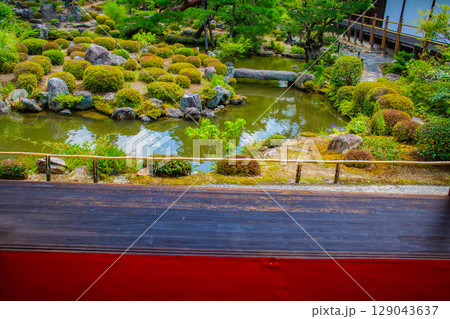 【京都風景】等持院　一人静かに眺める庭に心が和む 129043637