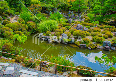 【京都風景】等持院　一人静かに眺める庭に心が和む 129043642