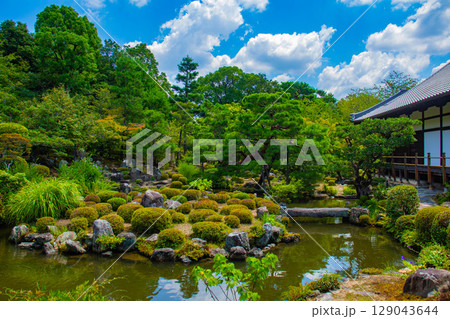 【京都風景】等持院 一人静かに眺める庭に心が和む 【京都風景】等持院 一人静かに眺める庭に心が和む 129043644
