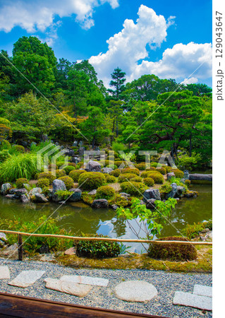 【京都風景】等持院 一人静かに眺める庭に心が和む 【京都風景】等持院 一人静かに眺める庭に心が和む 129043647