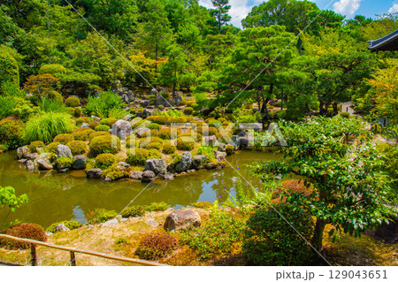 【京都風景】等持院　一人静かに眺める庭に心が和む 129043651
