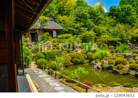 【京都風景】等持院　一人静かに眺める庭に心が和む 129043652