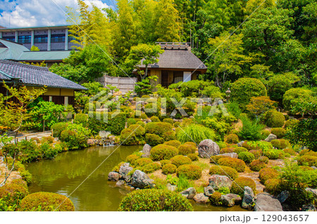 【京都風景】等持院　一人静かに眺める庭に心が和む 129043657