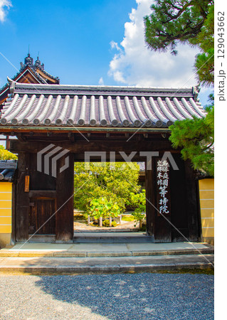 【京都風景】等持院 一人静かに眺める庭に心が和む 【京都風景】等持院 一人静かに眺める庭に心が和む 129043662