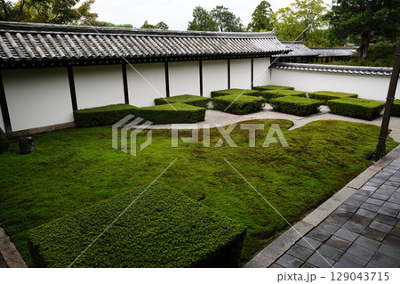 南禅寺本坊の庭園風景 南禅寺本坊の庭園風景 129043715