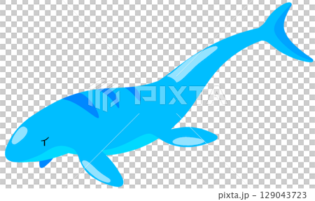 賽爾瑪龍 賽爾瑪龍 129043723