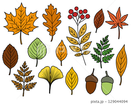 秋の素材セット（輪郭あり）　C 129044094