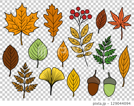 秋季材質套裝（附輪廓）C 129044094