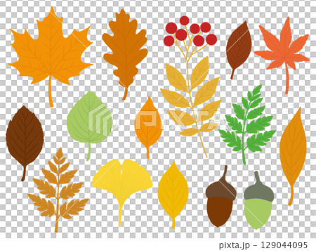 秋季材質套裝（無輪廓）D 129044095