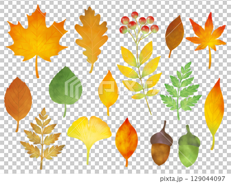 秋の素材セット（水彩風）　F 129044097
