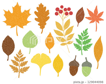 秋の素材セット（スジ）　G 129044098