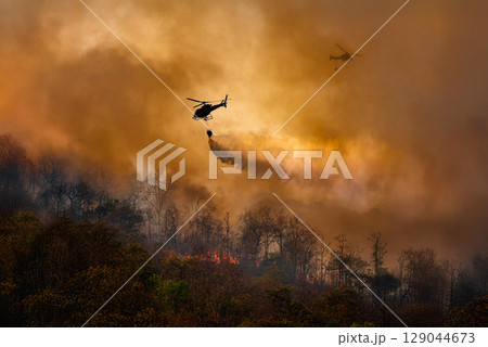 Fire fighting helicopter carry water bucket to extinguish the forest fire. 129044673