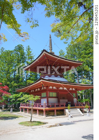 世界遺産高野山の情景 蛇腹道から東塔を望む 世界遺産高野山の情景 蛇腹道から東塔を望む 129045201