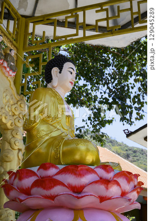 Gilded sculpture of meditating Buddha at Chua Da Bao Monastery Gilded sculpture of meditating Buddha at Chua Da Bao Monastery 129045289