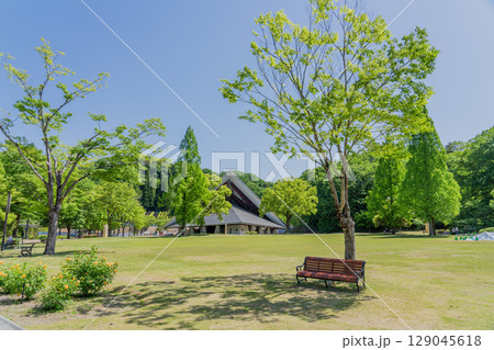 可児市ローズガーデンの景色 可児市ローズガーデンの景色 129045618