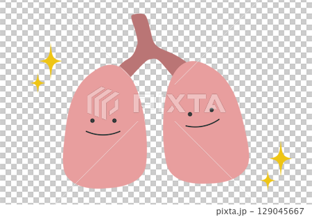 Healthy and energetic lung character illustration Healthy and energetic lung character illustration 129045667