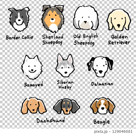 手描き風の犬セット-1 129046081