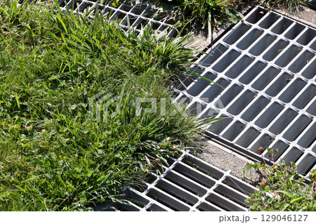 雑草, 草, アスファルト,排水溝、雨水、雨、下水、下水道、地面, 植物, 緑, 自然, 屋外, 葉 129046127