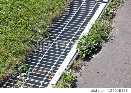 雑草, 草, アスファルト,排水溝、雨水、雨、下水、下水道、地面, 植物, 緑, 自然, 屋外, 葉 129046128