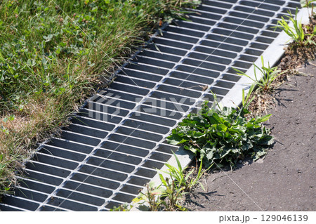 雑草, 草, アスファルト,排水溝、雨水、雨、下水、下水道、地面, 植物, 緑, 自然, 屋外, 葉 129046139