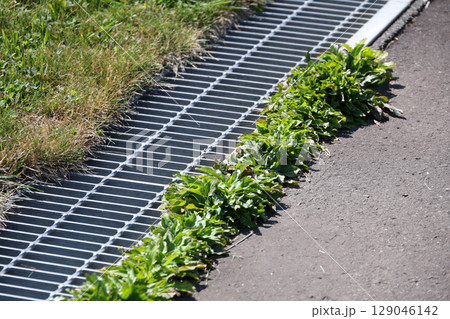 雑草, 草, アスファルト,排水溝、雨水、雨、下水、下水道、地面, 植物, 緑, 自然, 屋外, 葉 129046142