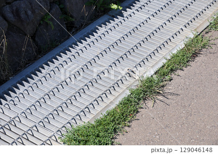 雑草, 草, アスファルト,排水溝、雨水、雨、下水、下水道、地面, 植物, 緑, 自然, 屋外, 葉 129046148