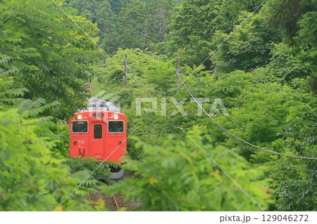 夏の播但線 夏の播但線 129046272