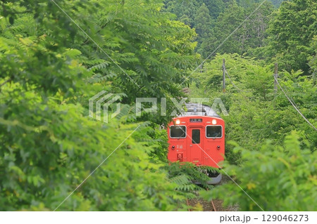 夏の播但線 129046273