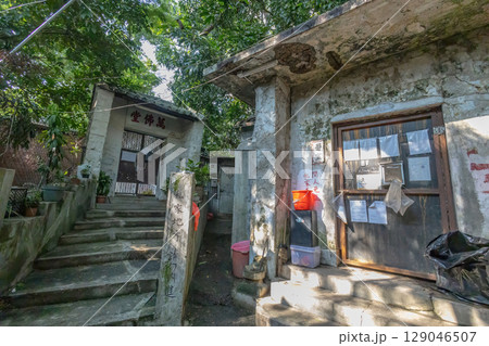 July 26 2025 Peaceful Man Fat Nunnery in Hong Kong 129046507