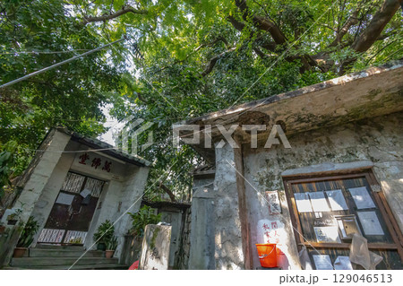 July 26 2025 Peaceful Man Fat Nunnery in Hong Kong July 26 2025 Peaceful Man Fat Nunnery in Hong Kong 129046513