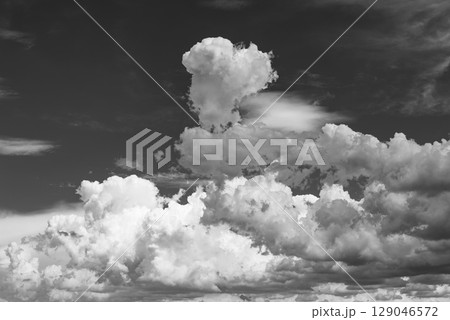 積乱雲が湧き広がる夏空　d-6 モノクロ 129046572