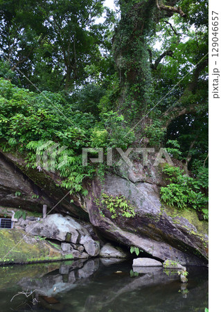 宝満寺公園 宝満寺公園 129046657