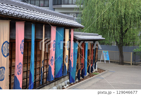 有松、蔵と葵の登旗 129046677