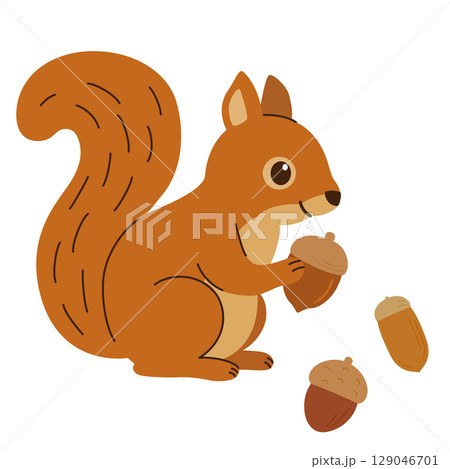 どんぐりを持っているリスのイラスト 129046701