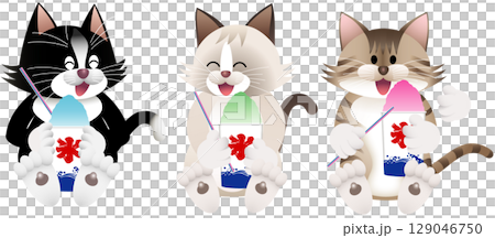 Cat eating shaved ice 129046750