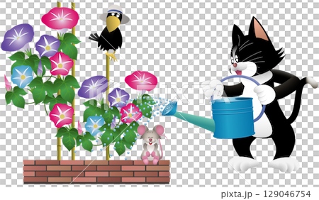 一隻黑貓正在為牽牛花澆水 129046754
