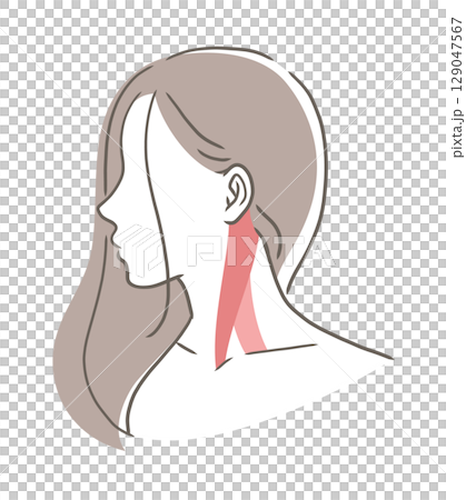 胸鎖乳突肌插畫素材 129047567