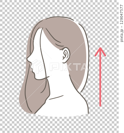 Bust-up illustration of a woman with good posture 129047577