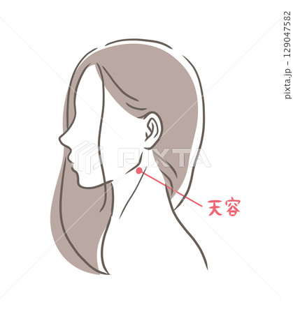 女性の横顔のバストアップイラスト素材 女性の横顔のバストアップイラスト素材 129047582