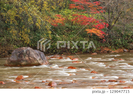 紅葉の間を流れる川 129047715