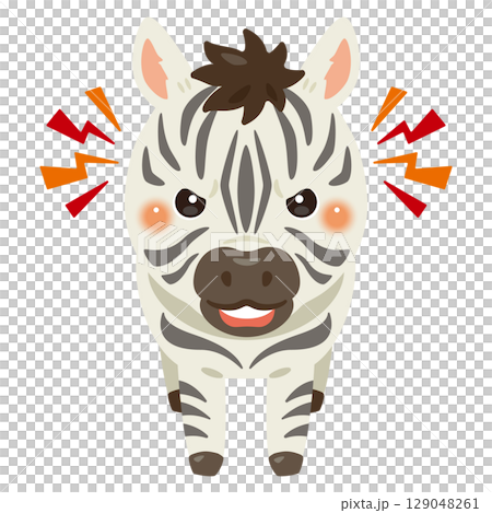 Illustration of an angry zebra seen from the front Illustration of an angry zebra seen from the front 129048261