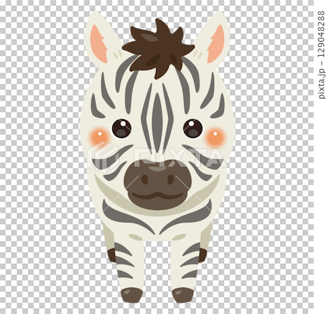 Illustration of a zebra seen from the front Illustration of a zebra seen from the front 129048288