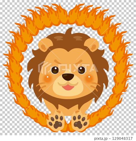 獅子跳過火圈的正面圖 129048317