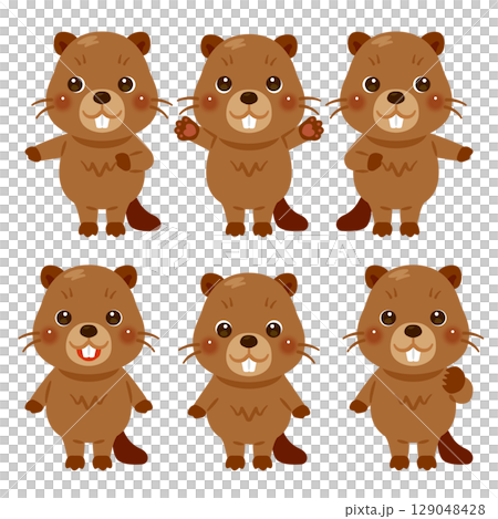 Pointing beaver character illustration set 129048428